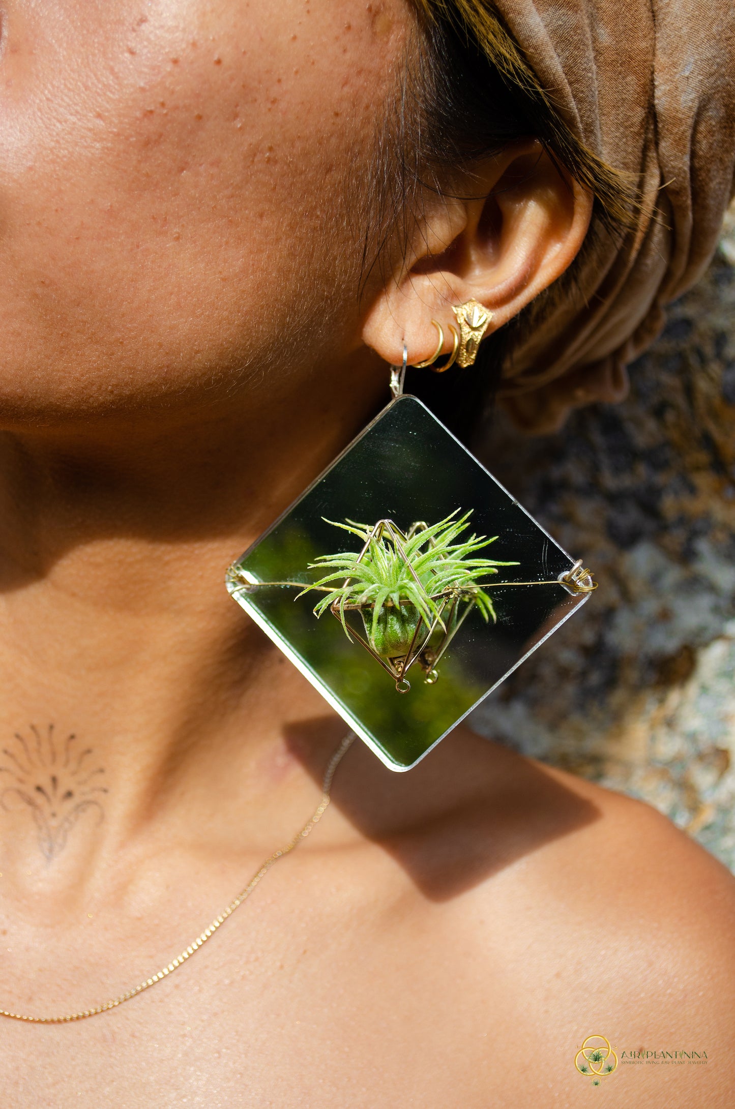 Holographic Mirror Air Plant Earrings ~  Iridescent Living Earrings