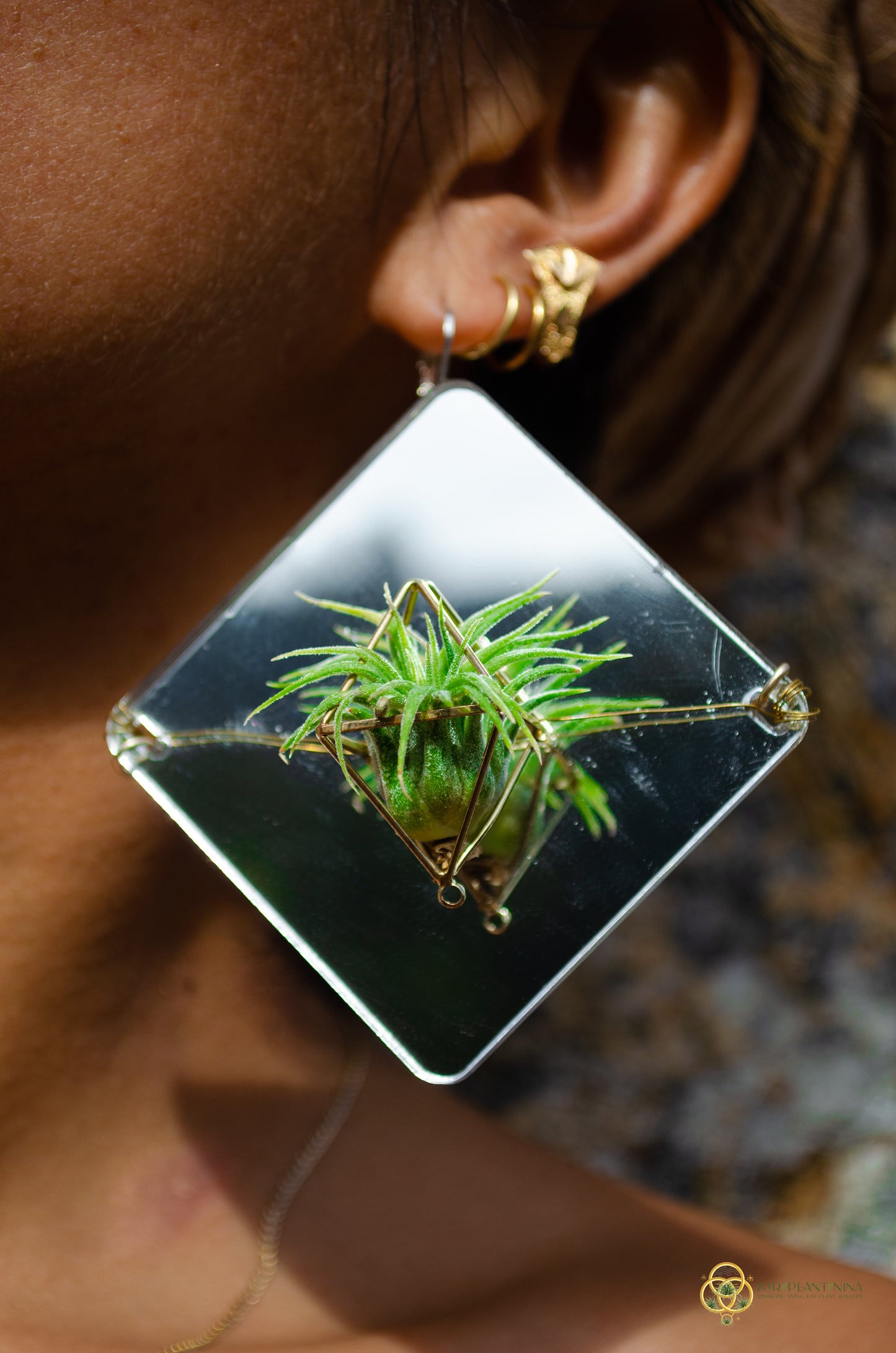 Holographic Mirror Air Plant Earrings ~  Iridescent Living Earrings