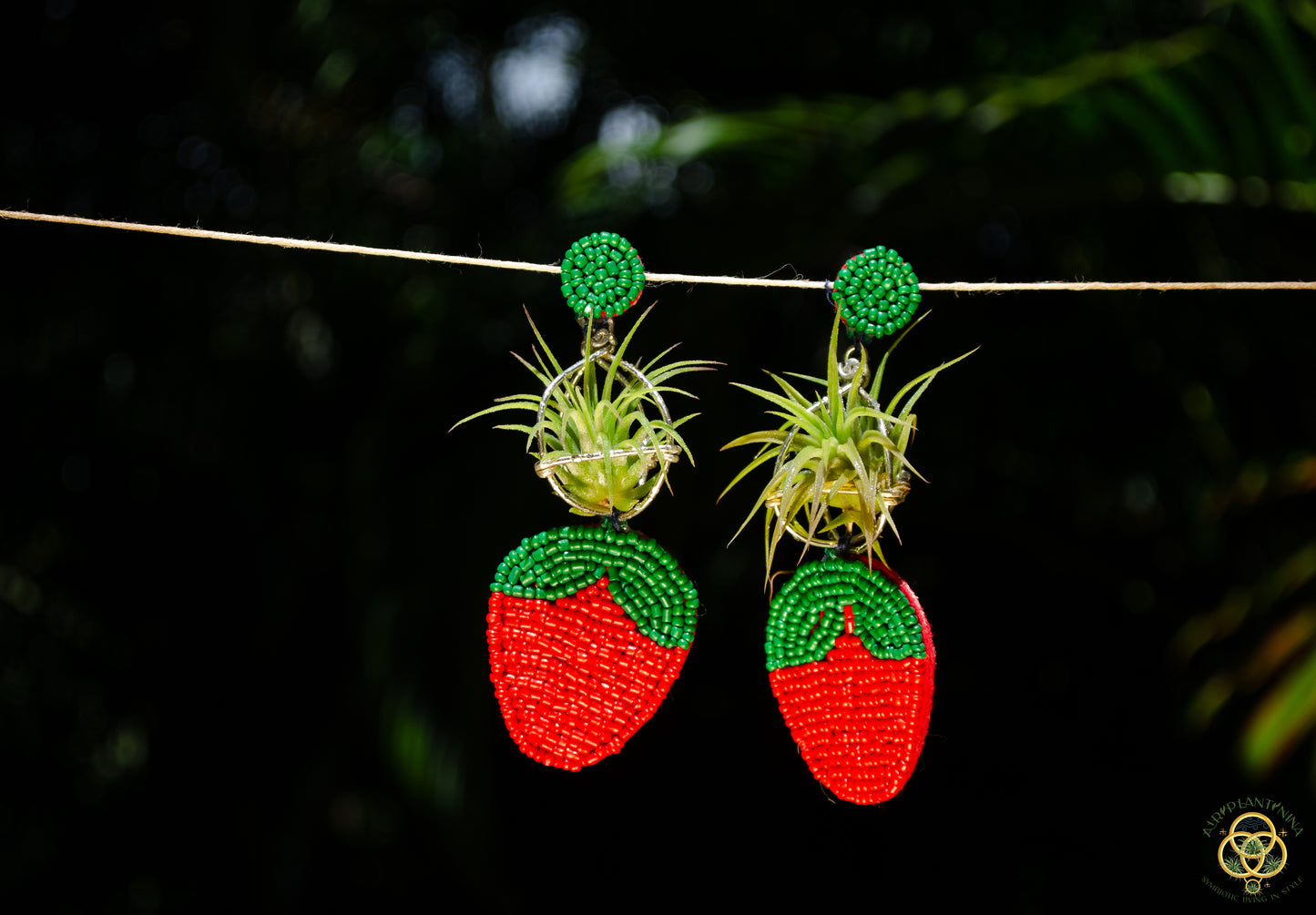 Strawberry Air Plant Earrings ~ Straw-bAiry