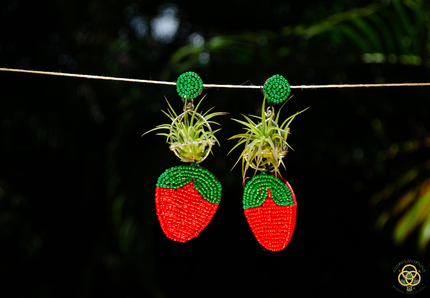 Strawberry Air Plant Earrings ~ Straw-bAiry