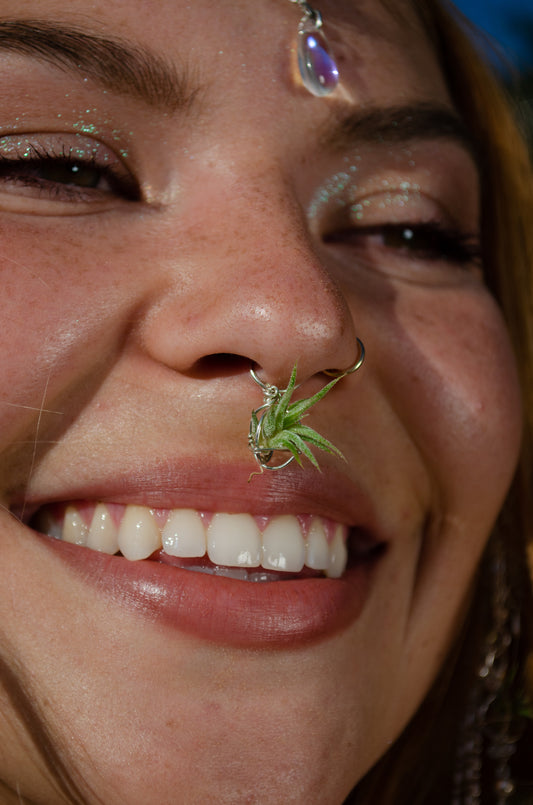 Air Plant Septum Nose Ring Cuff ~ Living Jewelry