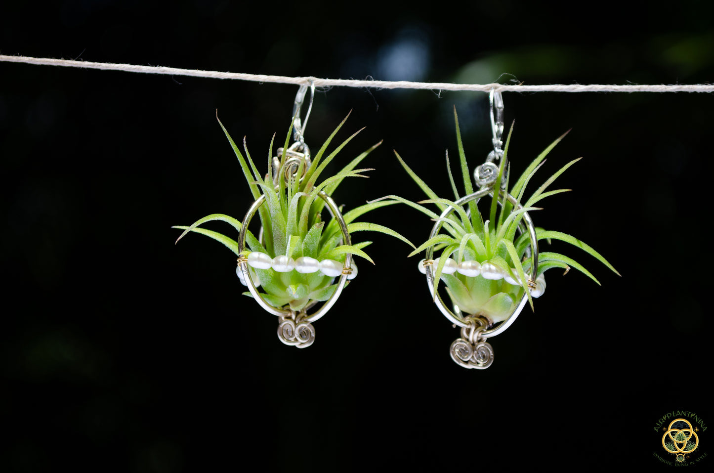 Air Plant Pearl Lined Orb Carriage Earrings