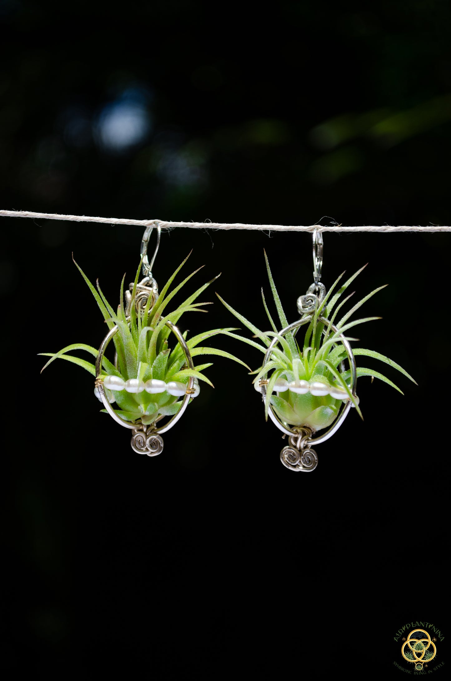 Air Plant Pearl Lined Orb Carriage Earrings
