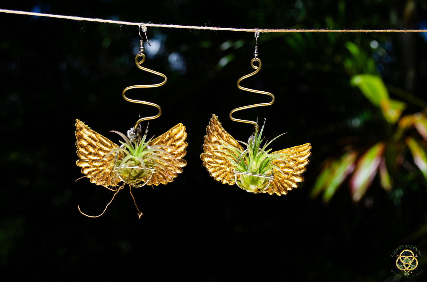 Flying Snitch Air Plant Orb Earrings