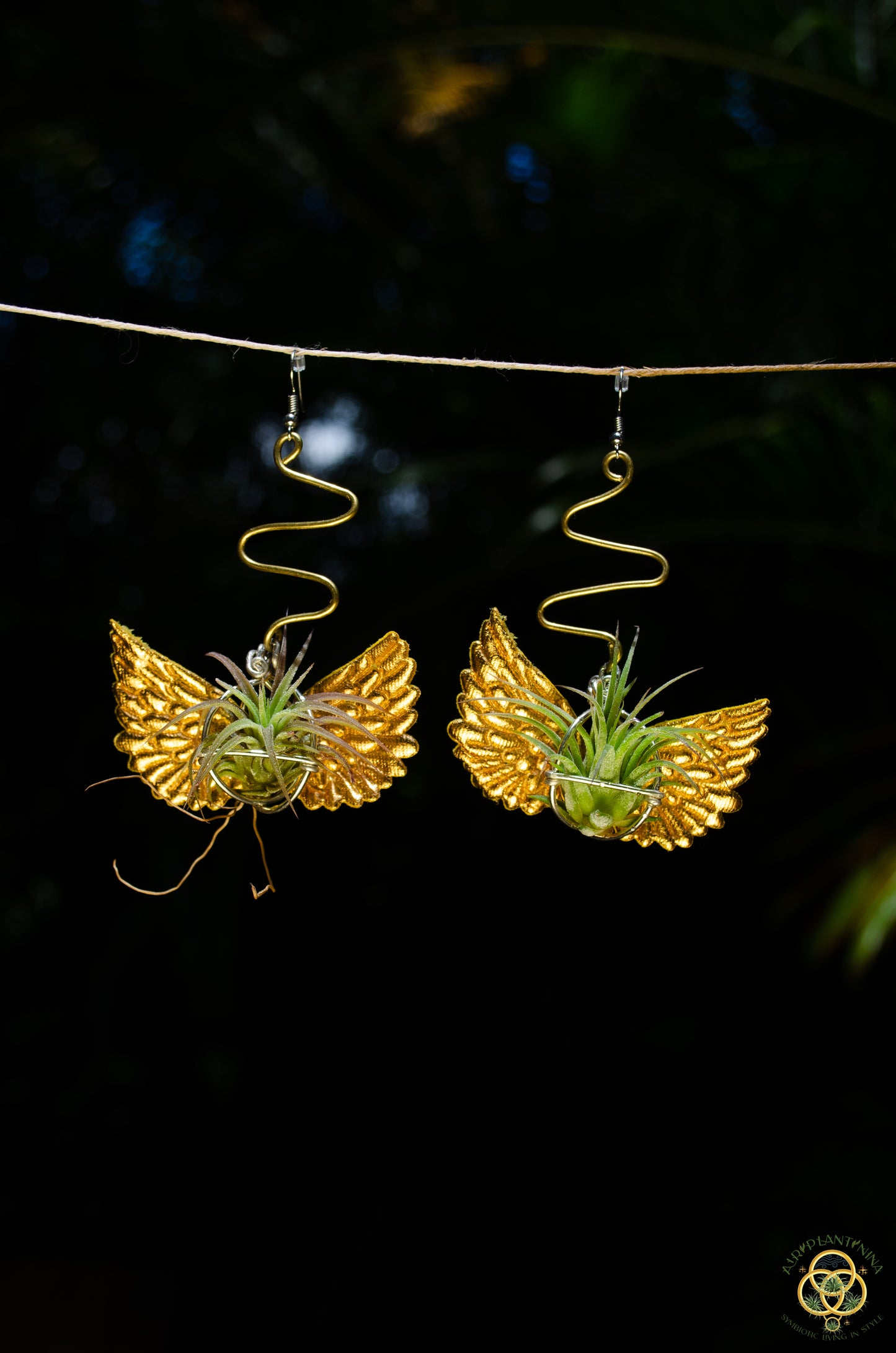 Flying Snitch Air Plant Orb Earrings