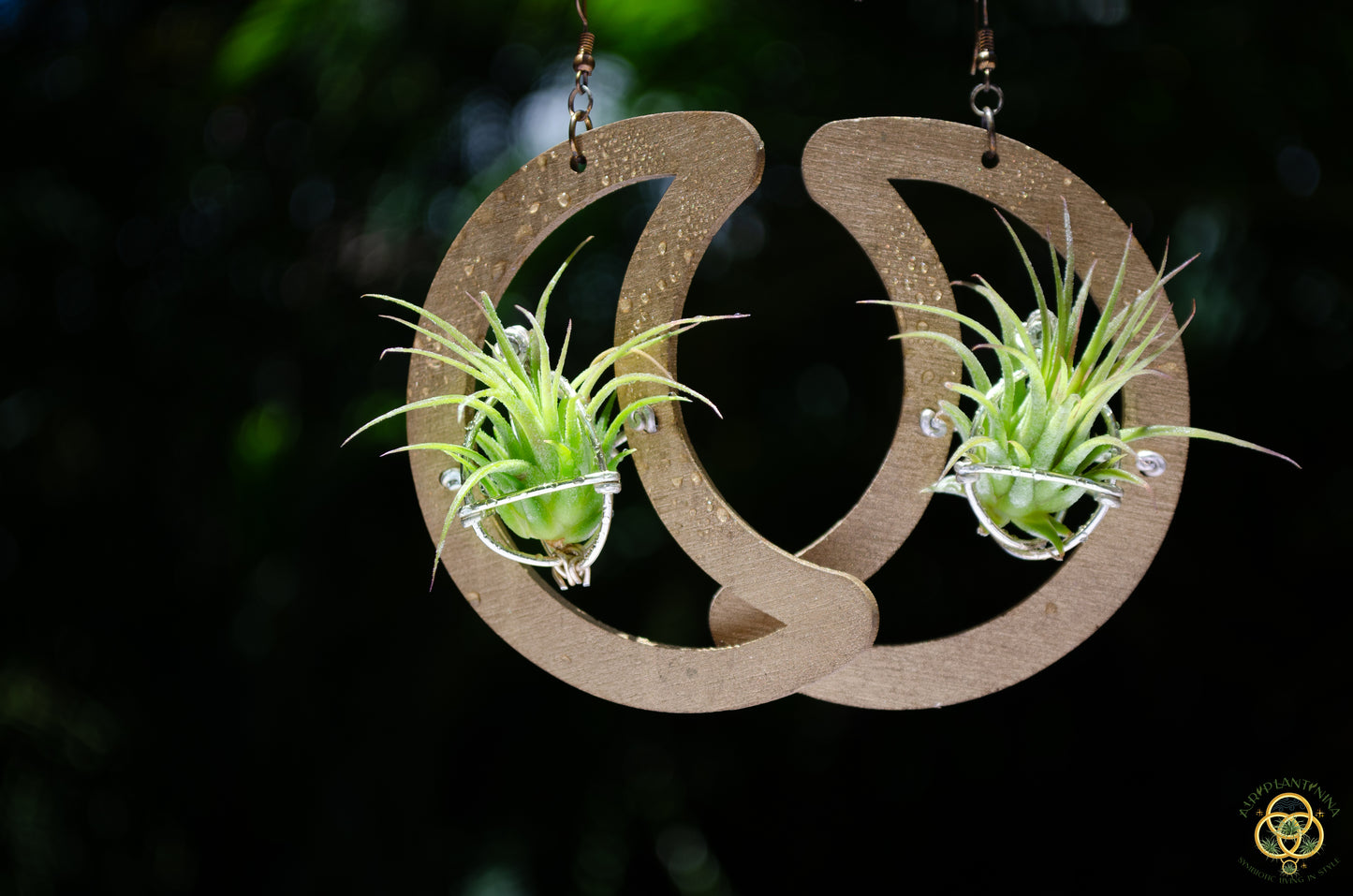 Wood Air Plant Earrings Heart, Moon, Circle, I-Ching Octagon