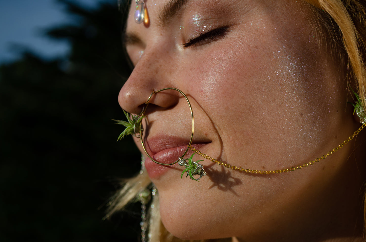 Air Plant Indian Nose Ring Hoop Nath~ Living Jewelry