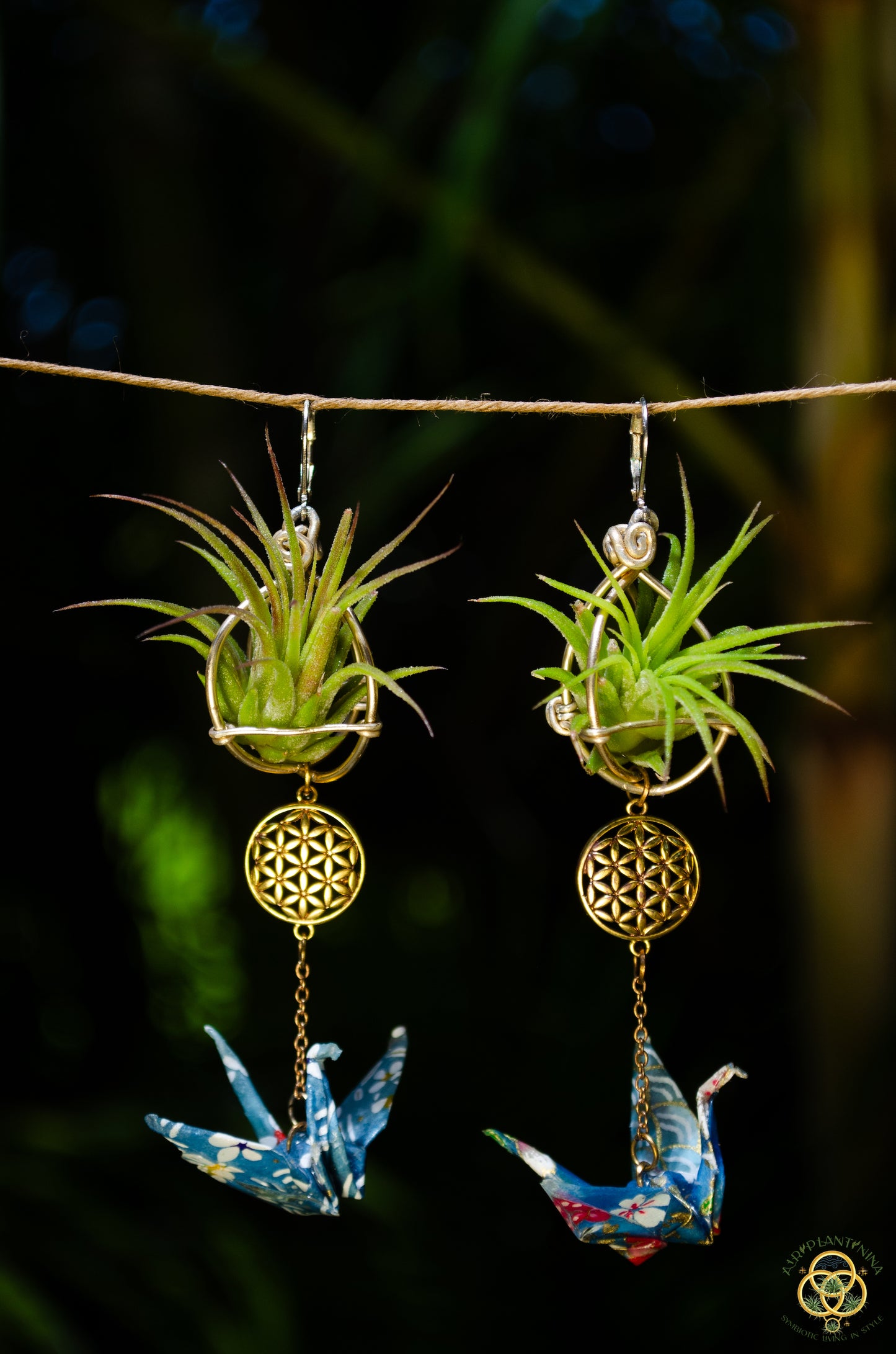 Living Plant Origami Crane Earrings