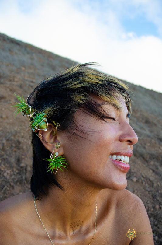 Elf Air Plant Ear Cuffs
