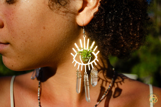 Third Eye-Ris Air Plant Earrings