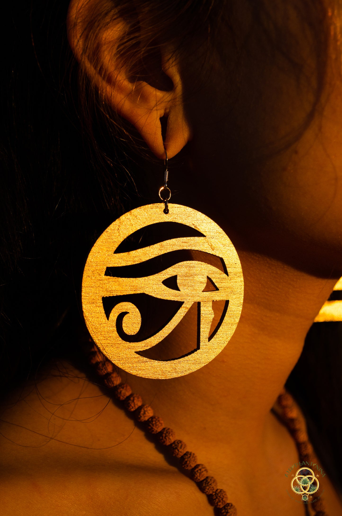 Eye of Horus ~ Ankanji Key Code Light Language Wooden Earrings