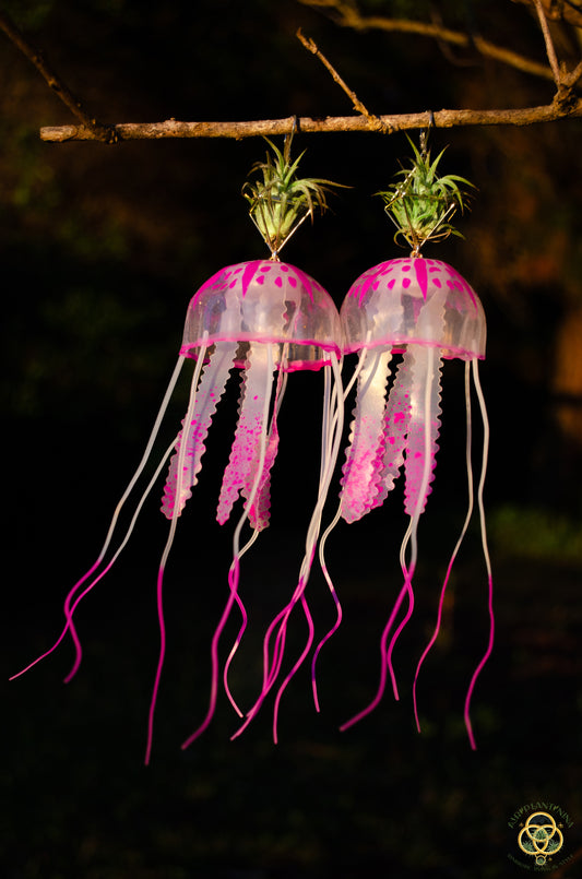 Jellyfish Glow Air Plant Earrings