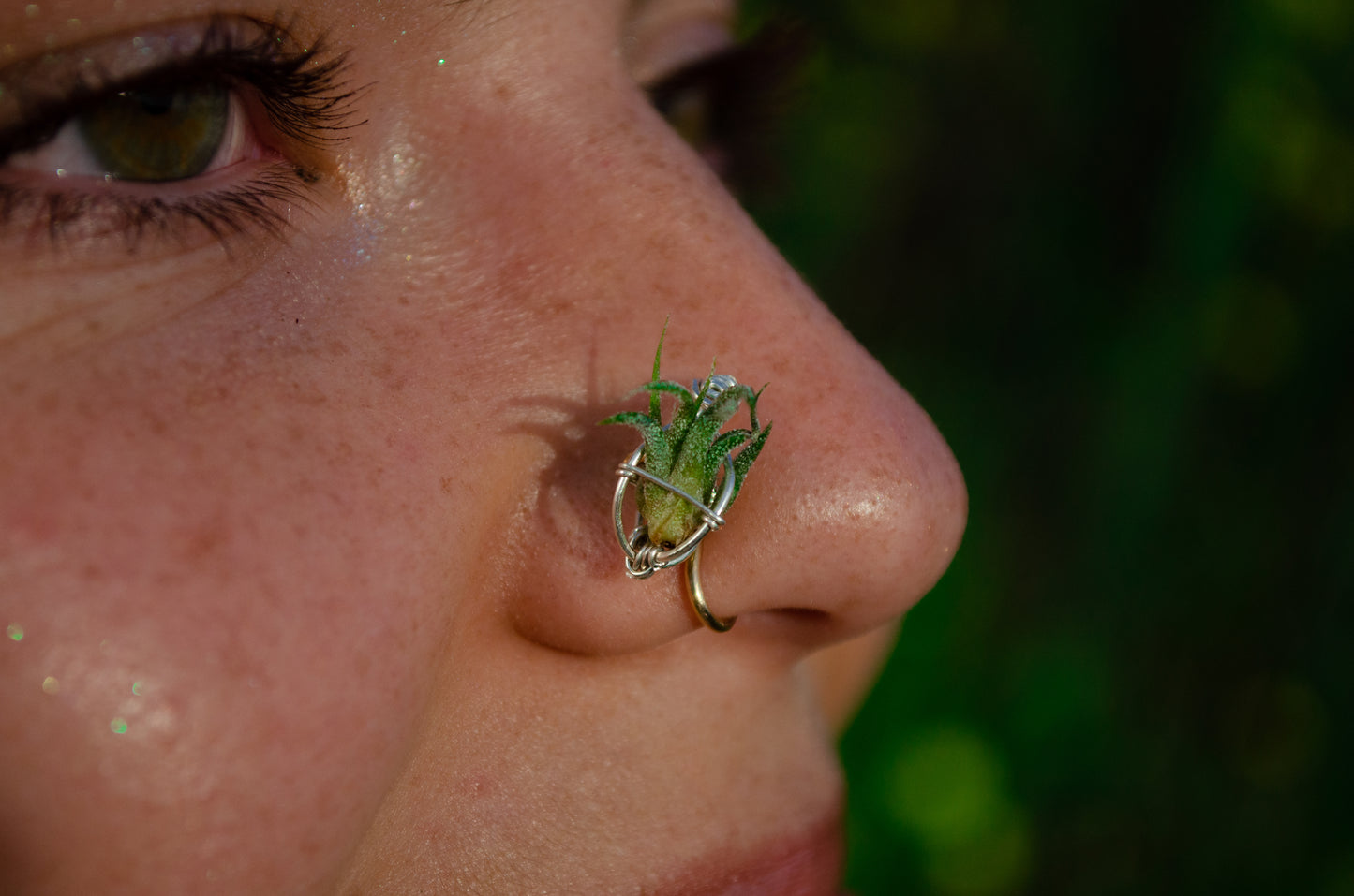 Air Plant Nose Ring Cuff ~ Living Jewelry