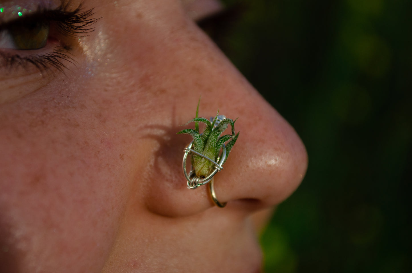 Air Plant Nose Ring Cuff ~ Living Jewelry
