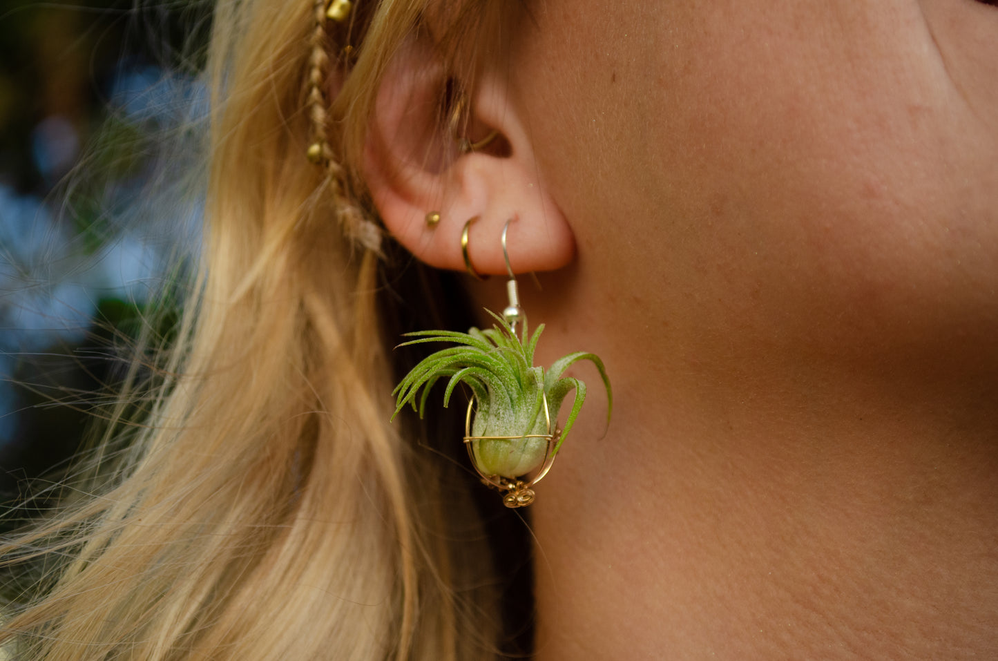 Minimalist 14K Gold Air Plant Orb Earrings ~ Dainty
