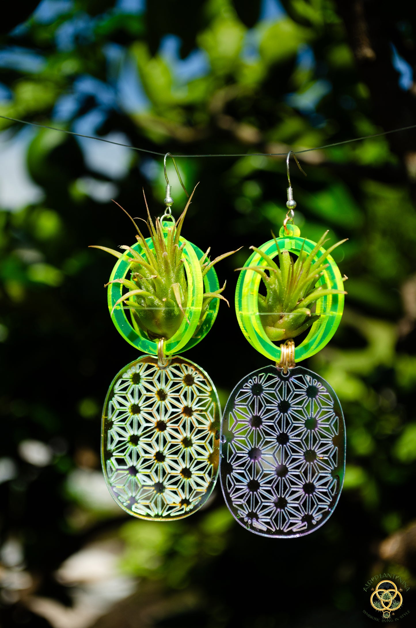 Air Plant Orb Earrings ~ Pineapple ~ Blacklight Holographic ~ Lasercut Original Design