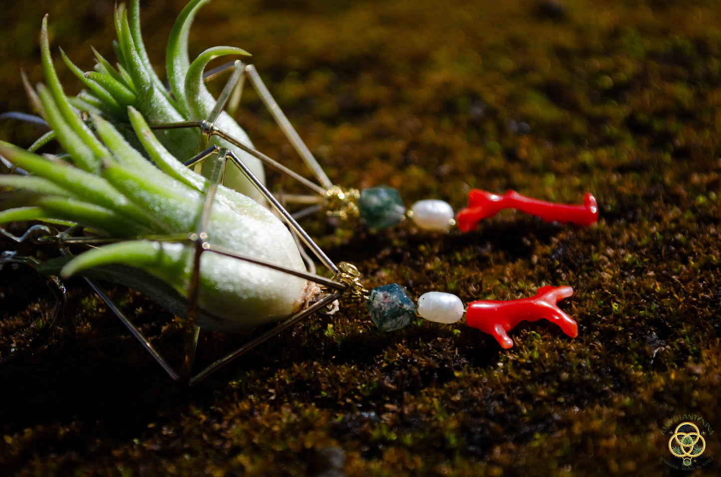 Buddha Air Plant Earrings ~ Diamond Octahedron Earrings