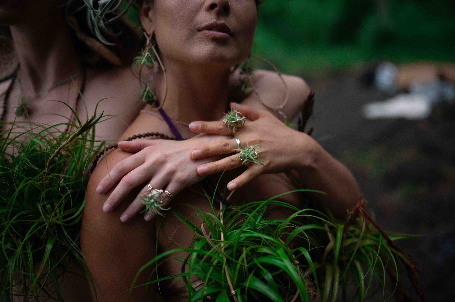 Air Plant Orb Terrarium Ring