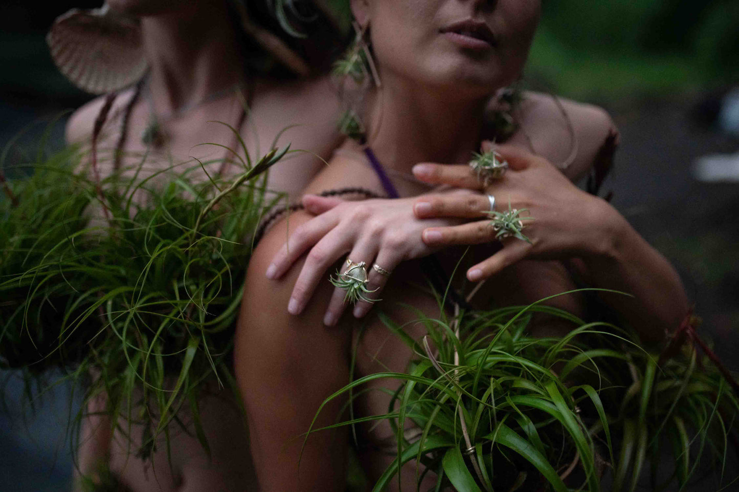 Air Plant Orb Terrarium Ring