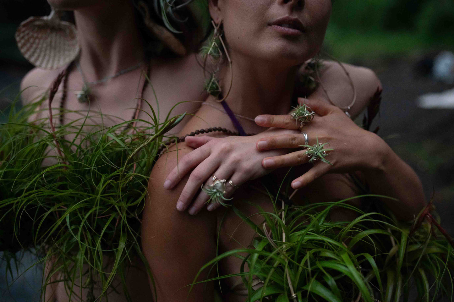 Air Plant Orb Terrarium Ring