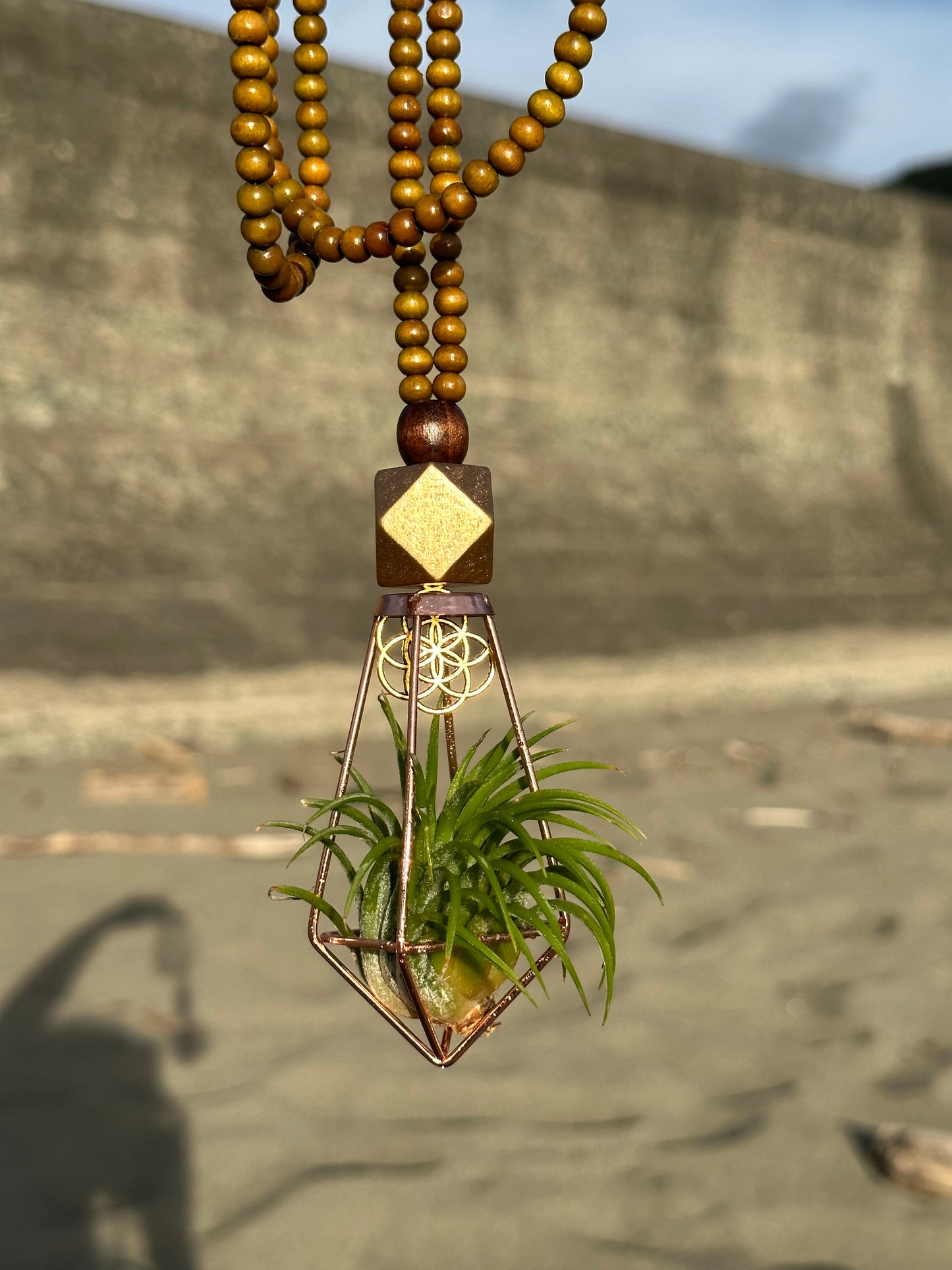 Air Plant Terrarium Sandalwood Bead Necklace ~ Buddha Monk Prayer Beads