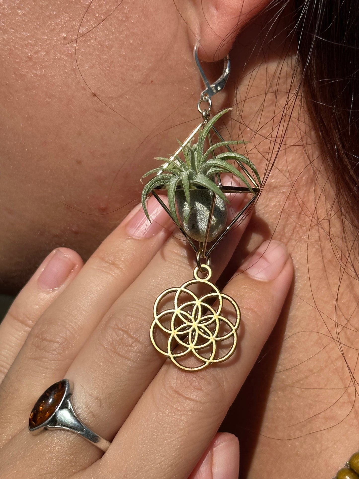 Flower of Life Air Plant Earrings
