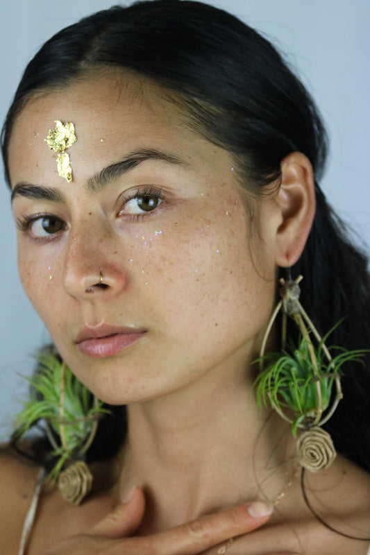 Bamboo Air Plant Orb Earrings