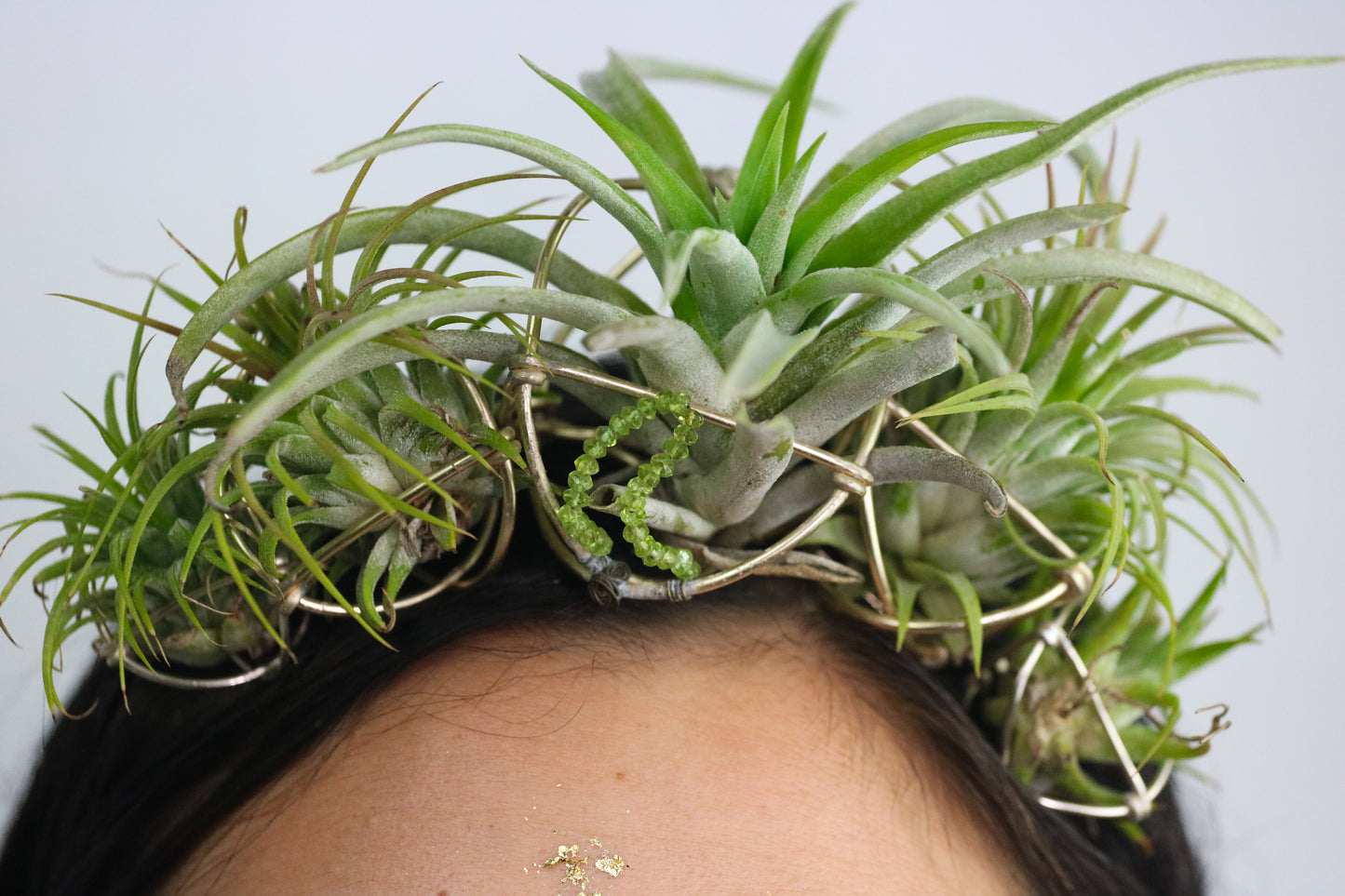 Air Plant Orb Goddess Crown ~ Living Plant Wreath Tiara