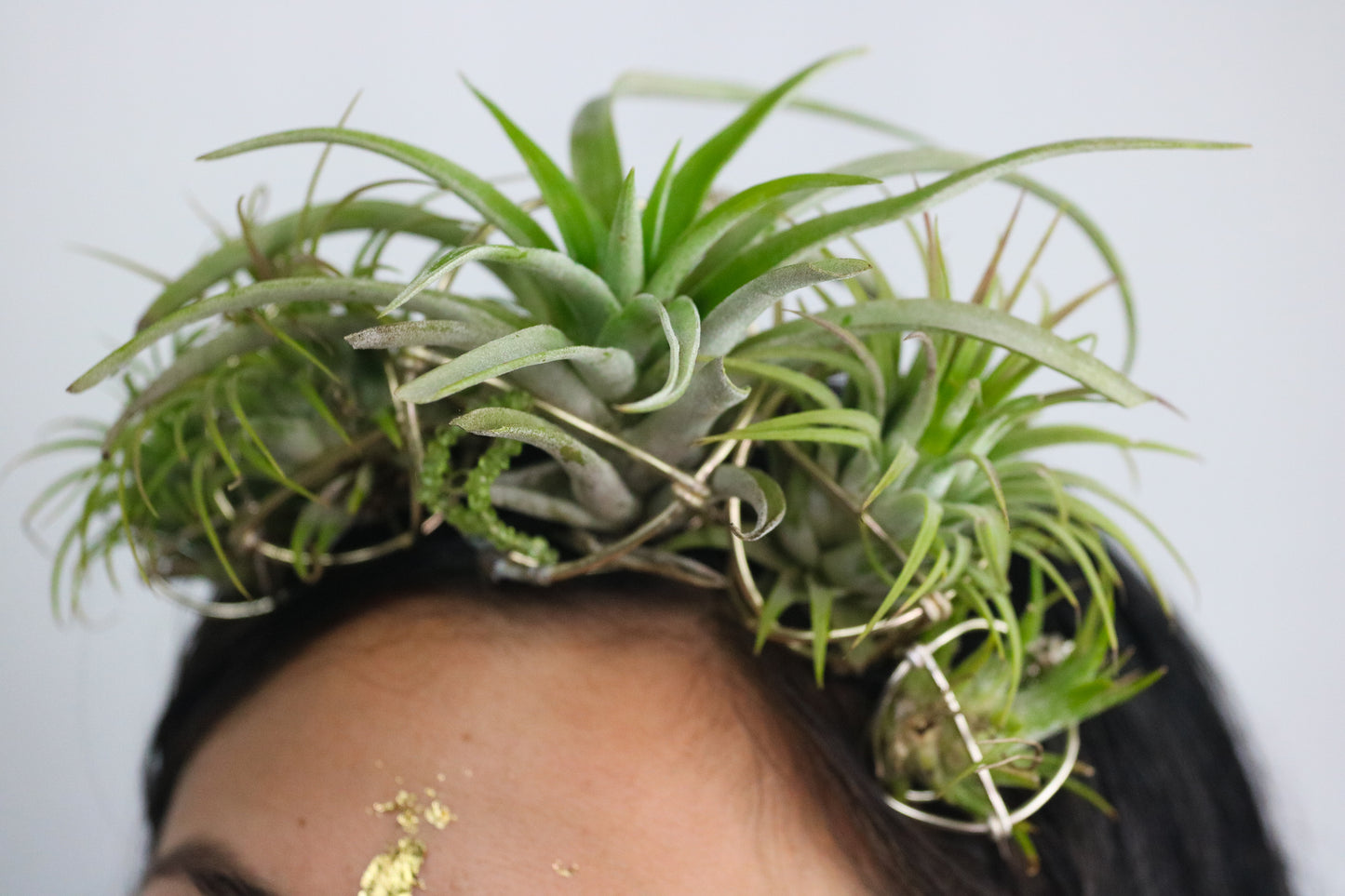 Air Plant Orb Goddess Crown ~ Living Plant Wreath Tiara