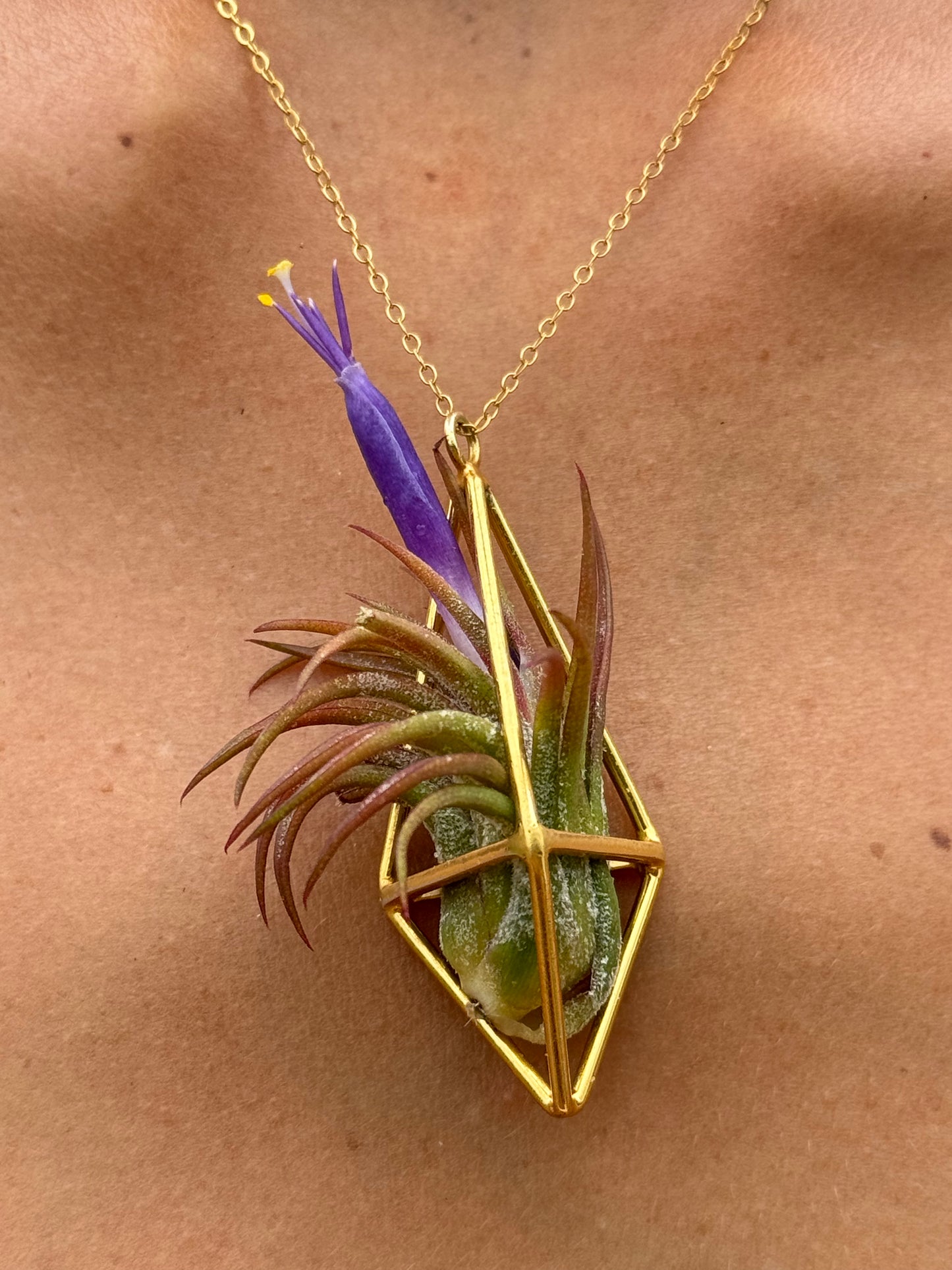 Luxury Air Plant Tetrahedron Pendant - 24K Gold / Solid Sterling Silver