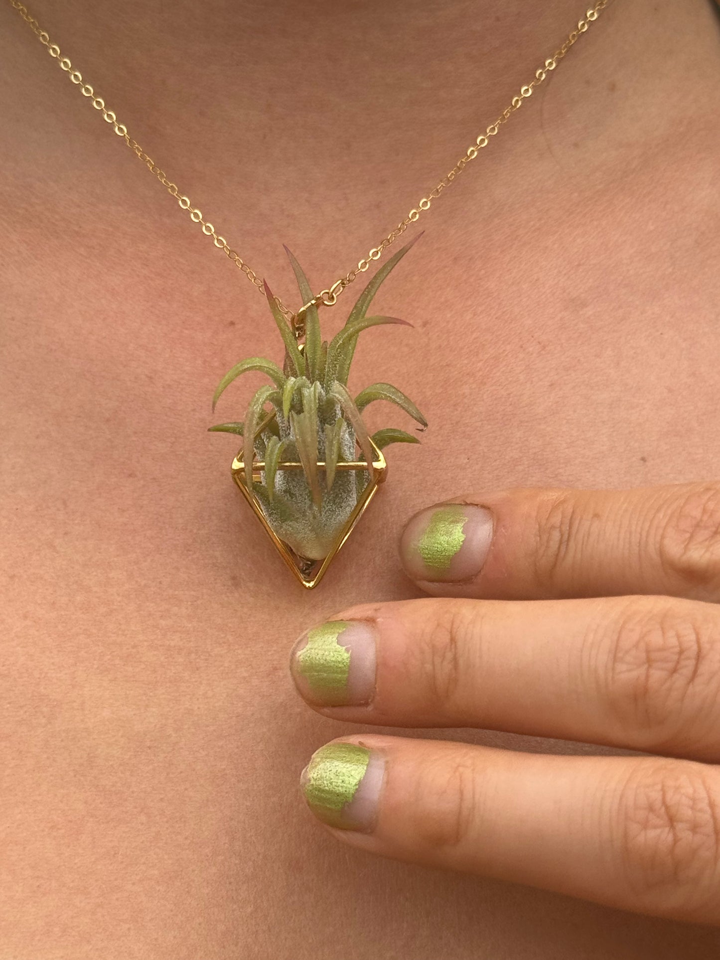Luxury Air Plant Octahedron Pendant - 24K Gold / Solid Sterling Silver