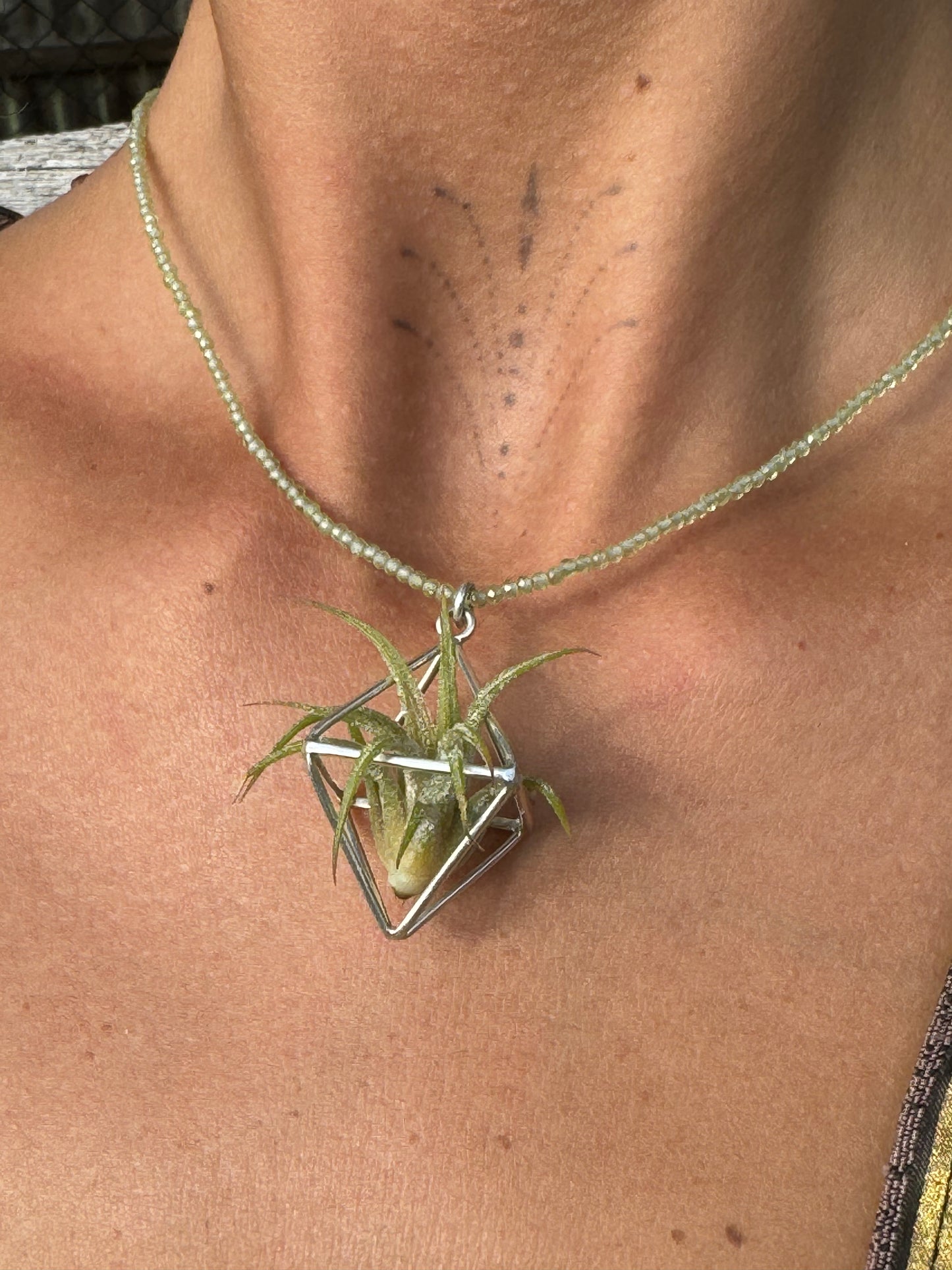 Luxury Air Plant Octahedron Pendant - 24K Gold / Solid Sterling Silver