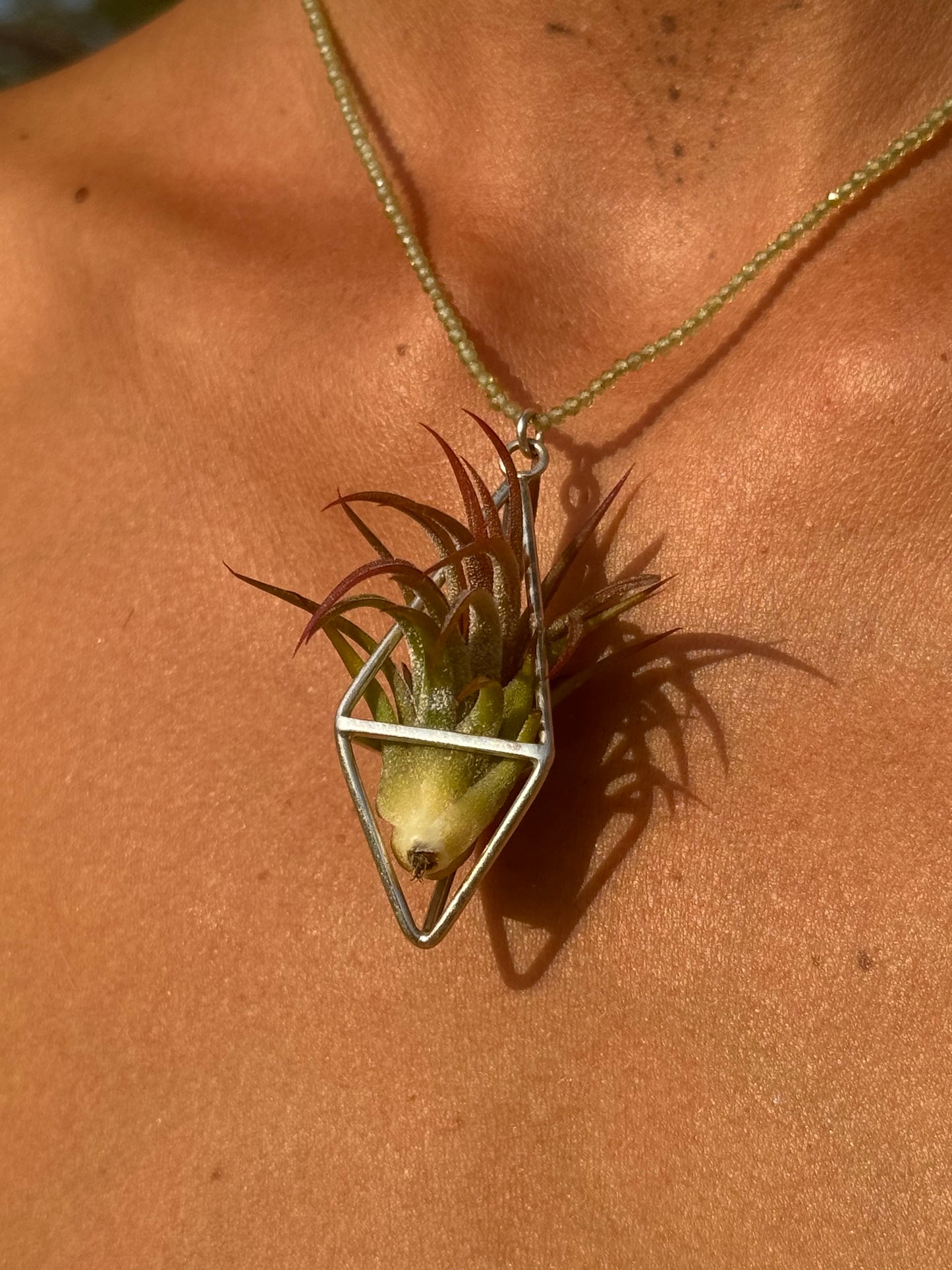 Luxury Air Plant Tetrahedron Pendant - 24K Gold / Solid Sterling Silver