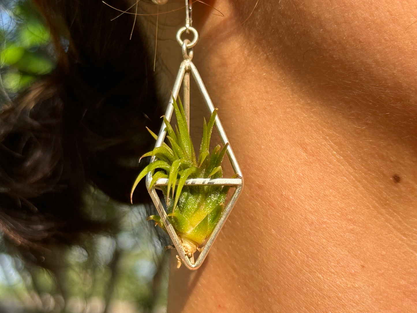 Sterling Silver Long Tetrahedron Air Plant Earrings ~ Minimalist Geometric Earrings