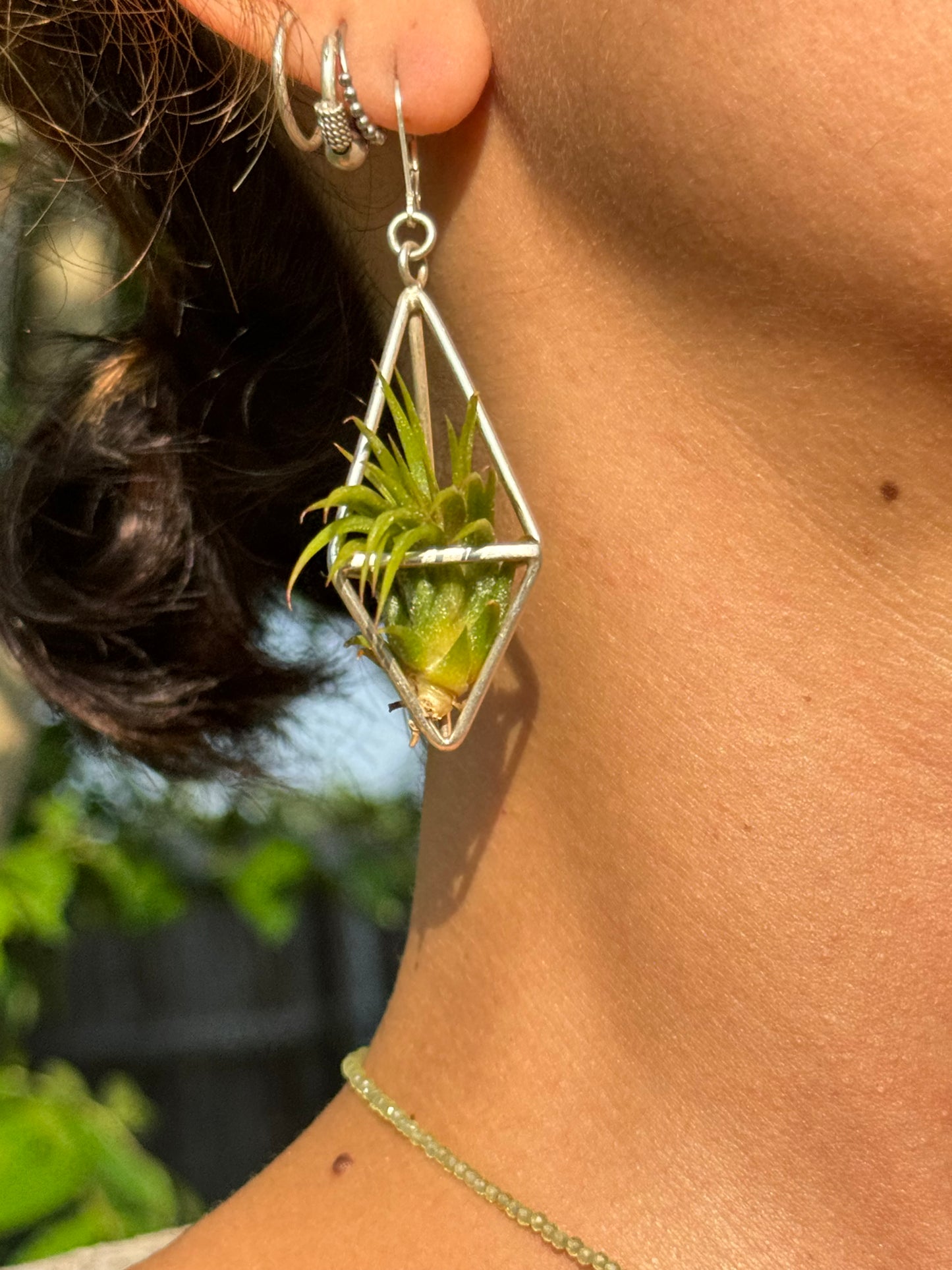 Sterling Silver Long Tetrahedron Air Plant Earrings ~ Minimalist Geometric Earrings