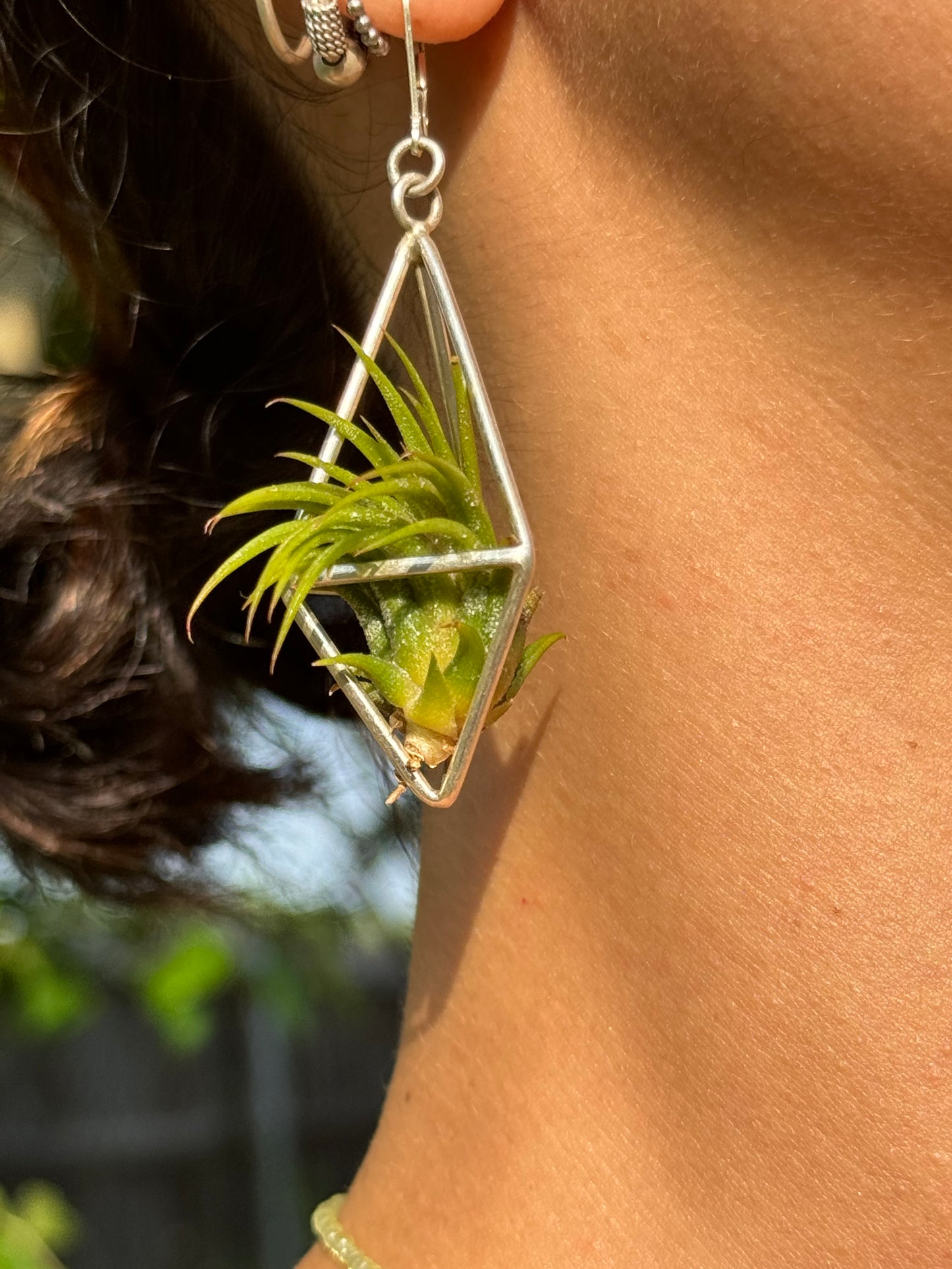 Sterling Silver Long Tetrahedron Air Plant Earrings ~ Minimalist Geometric Earrings