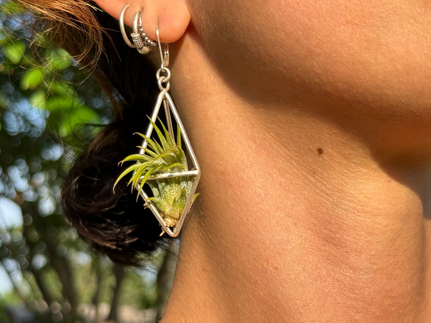 Sterling Silver Long Tetrahedron Air Plant Earrings ~ Minimalist Geometric Earrings