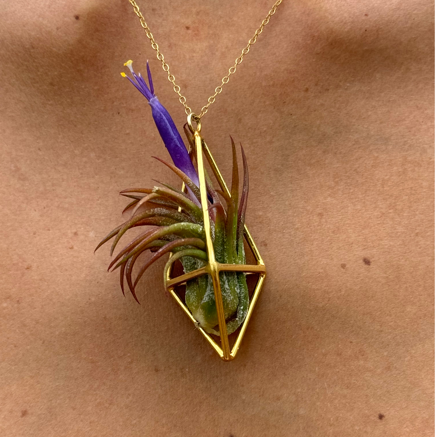 Luxury Air Plant Tetrahedron Pendant - 24K Gold / Solid Sterling Silver