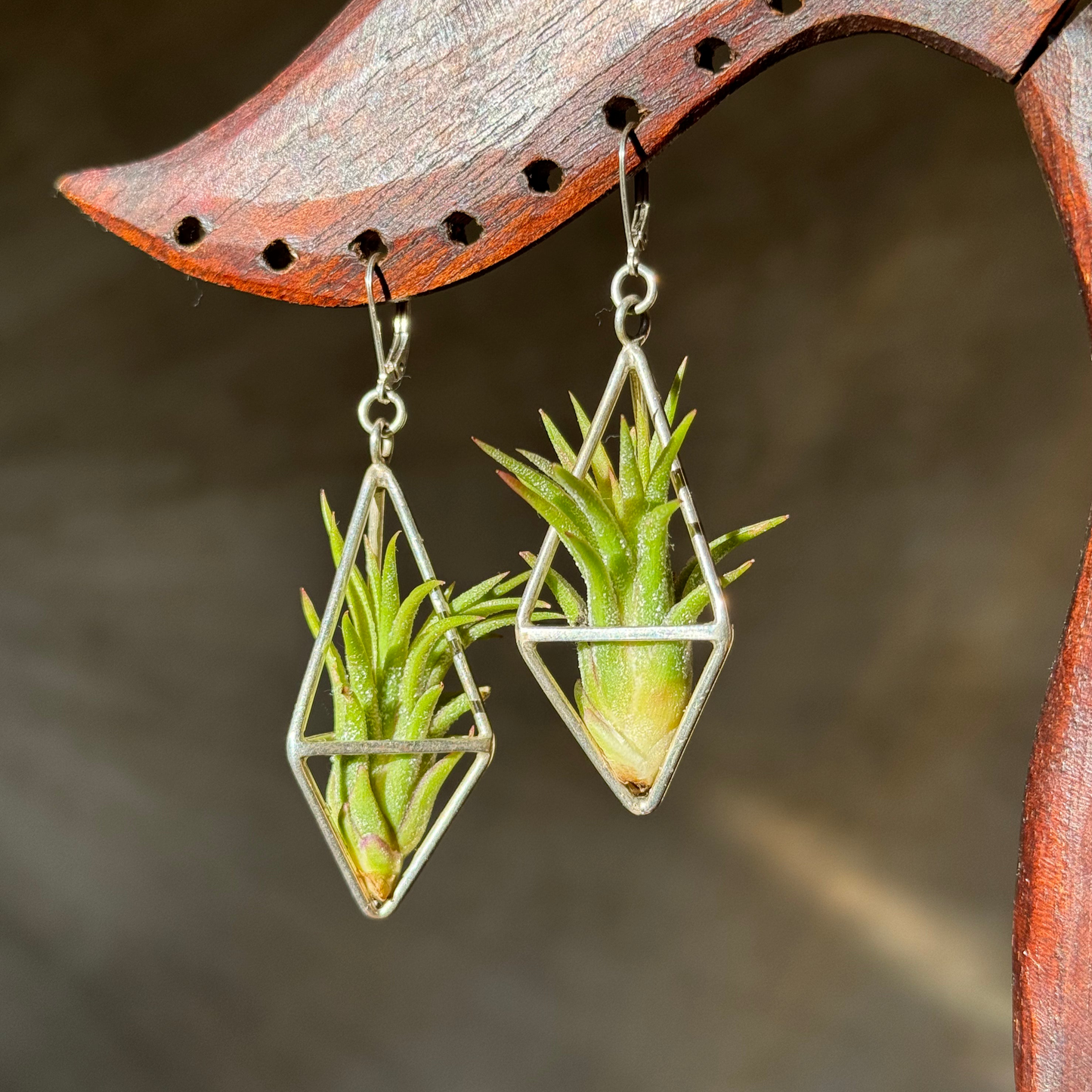 Sterling Silver Long Tetrahedron Air Plant Earrings ~ Minimalist Geometric Earrings