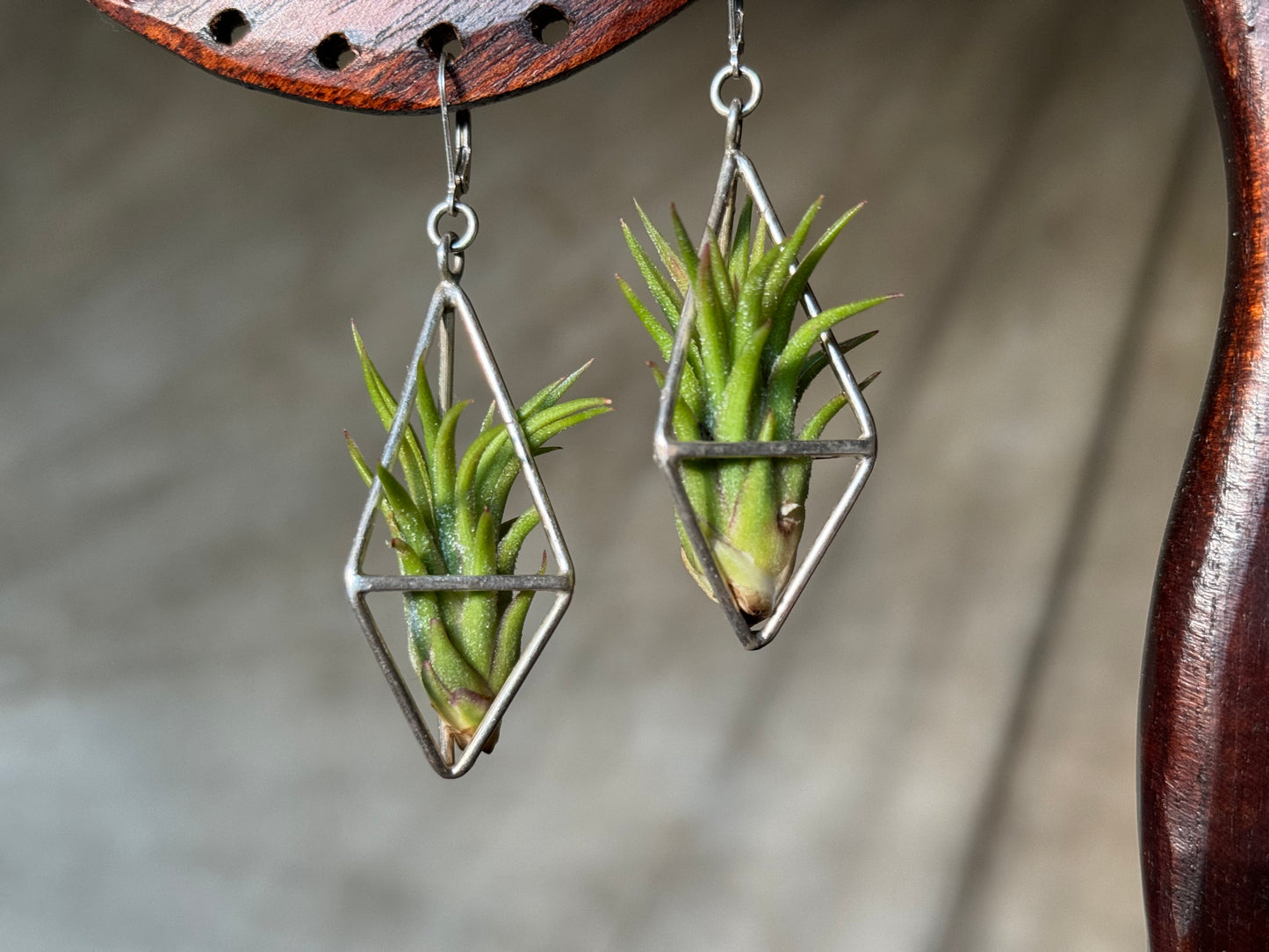 Sterling Silver Long Tetrahedron Air Plant Earrings ~ Minimalist Geometric Earrings