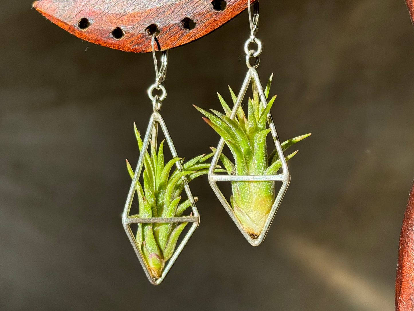 Sterling Silver Long Tetrahedron Air Plant Earrings ~ Minimalist Geometric Earrings