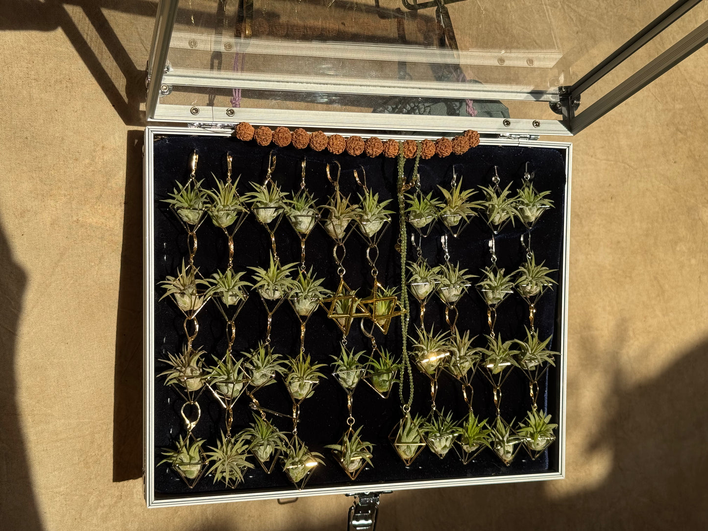 10 PACK AIR-preneur Display Box of Air Plant Earrings & Necklaces