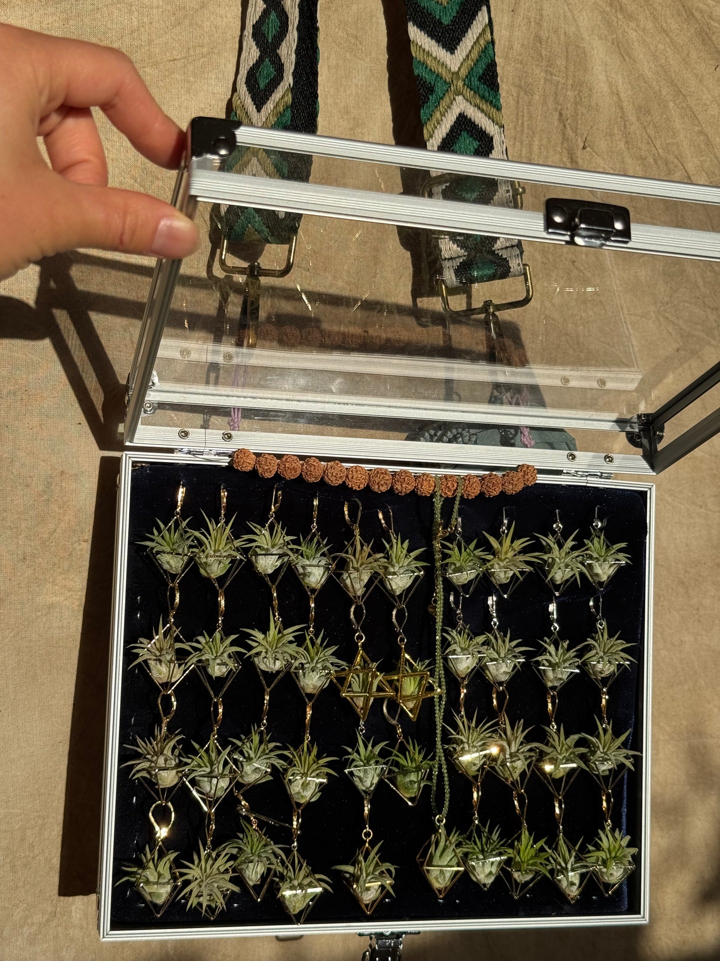 10 PACK AIR-preneur Display Box of Air Plant Earrings & Necklaces