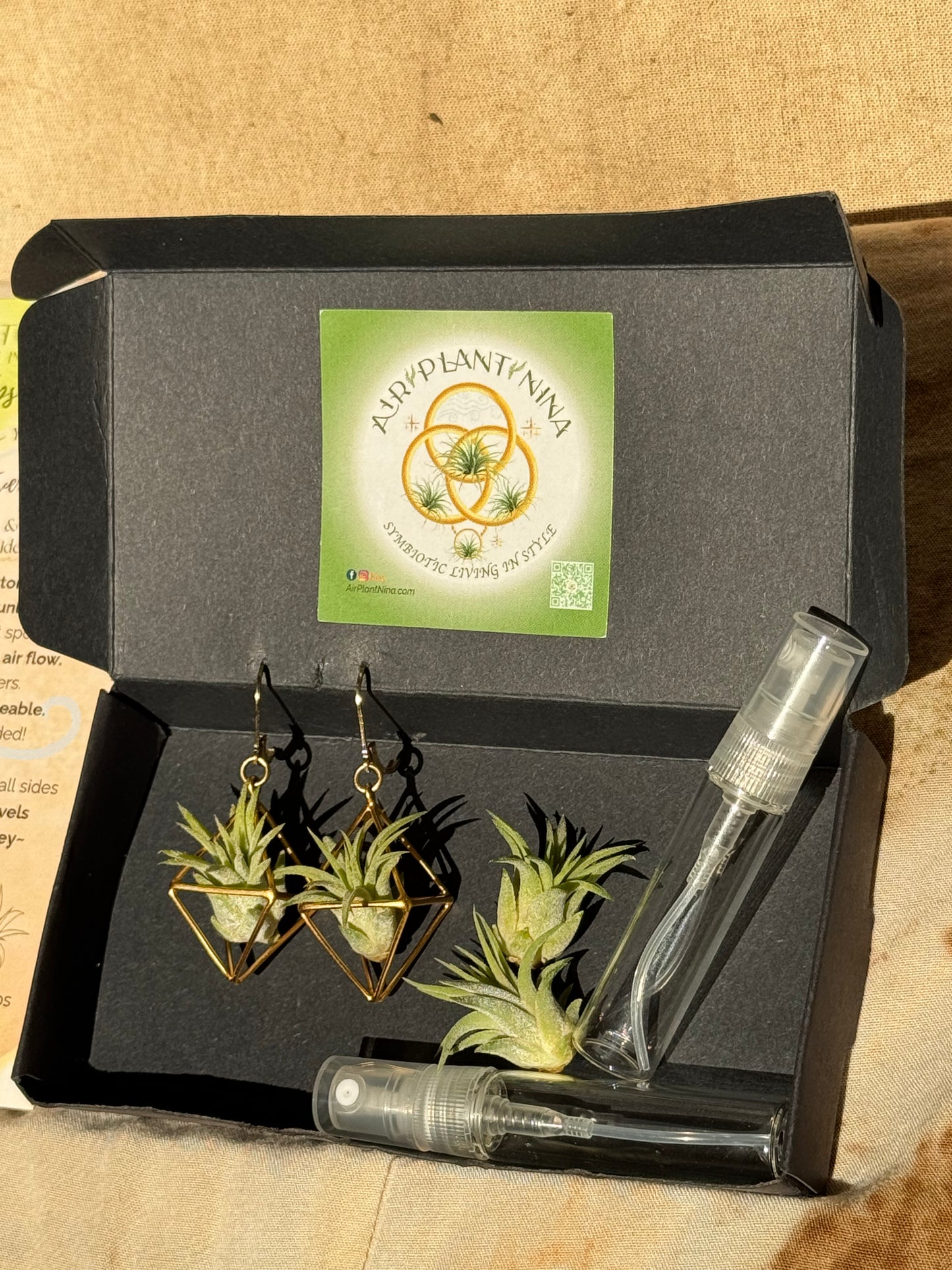 10 PACK AIR-preneur Display Box of Air Plant Earrings & Necklaces