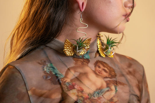 Flying Snitch Air Plant Orb Earrings