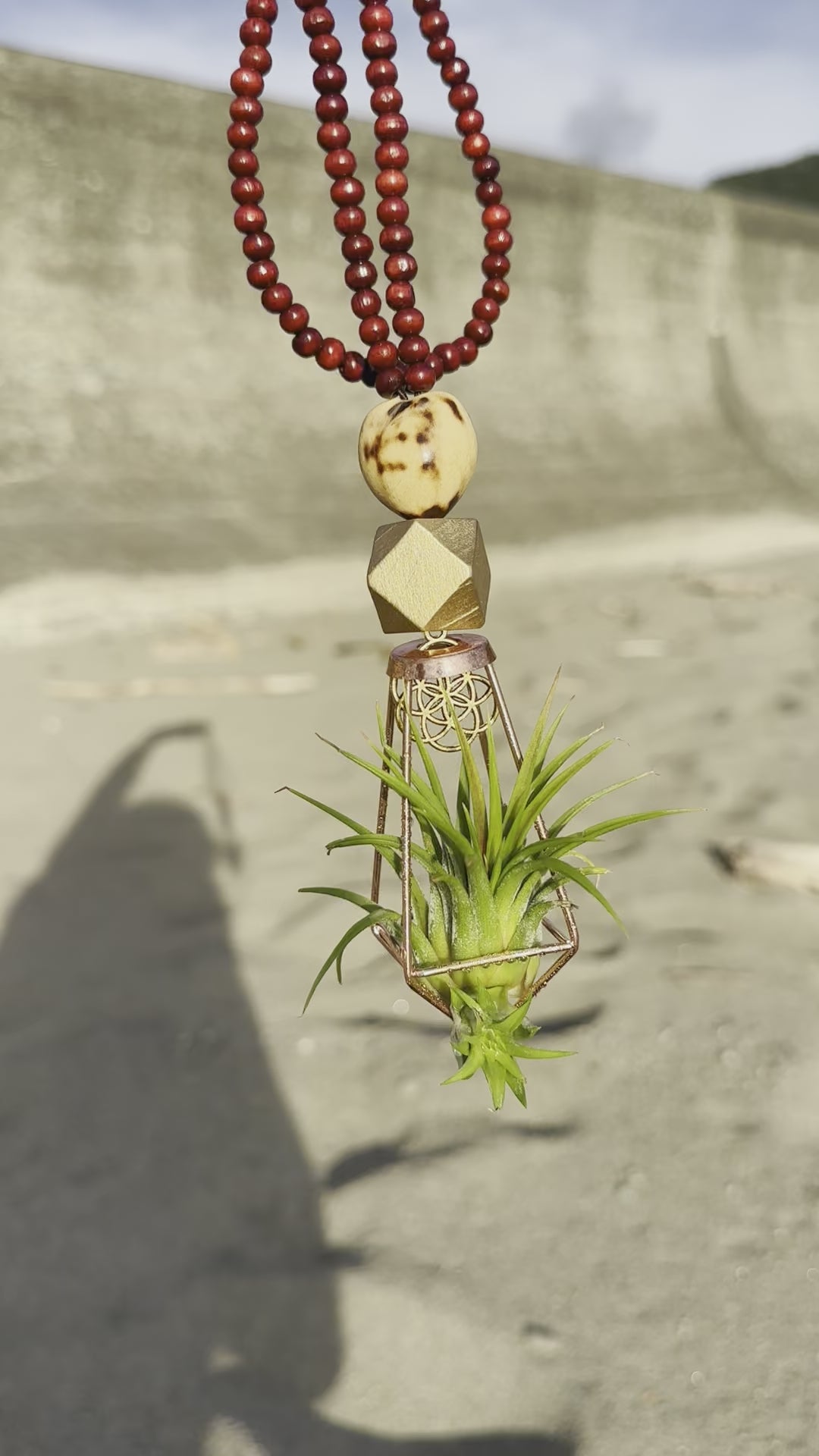 Air Plant Terrarium Sandalwood Bead Necklace ~ Buddha Monk Prayer
