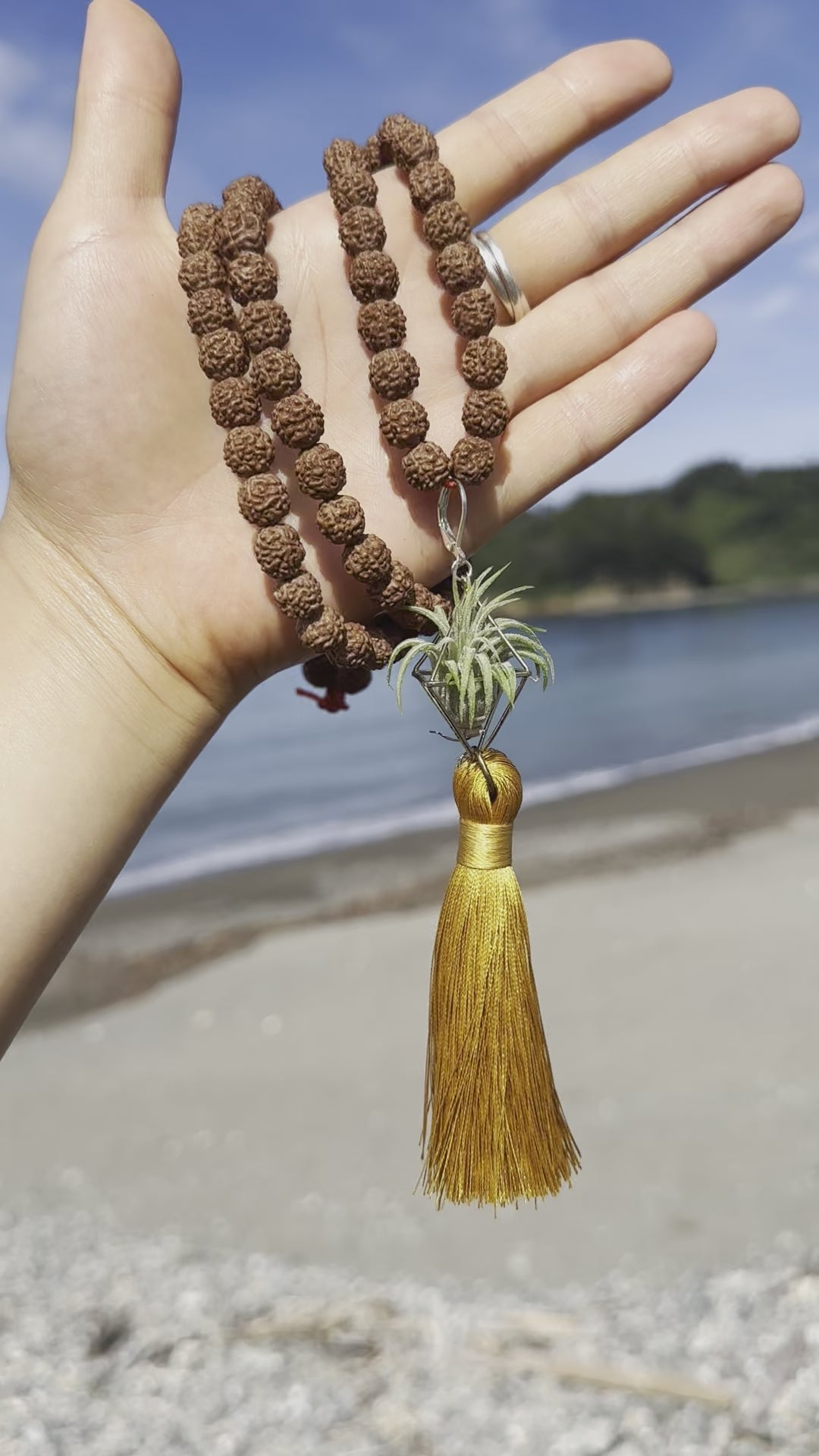Rudraksha Monk Prayer Bead Air Plant Necklace – AirPlantNina Symbiotic  Living Jewelry