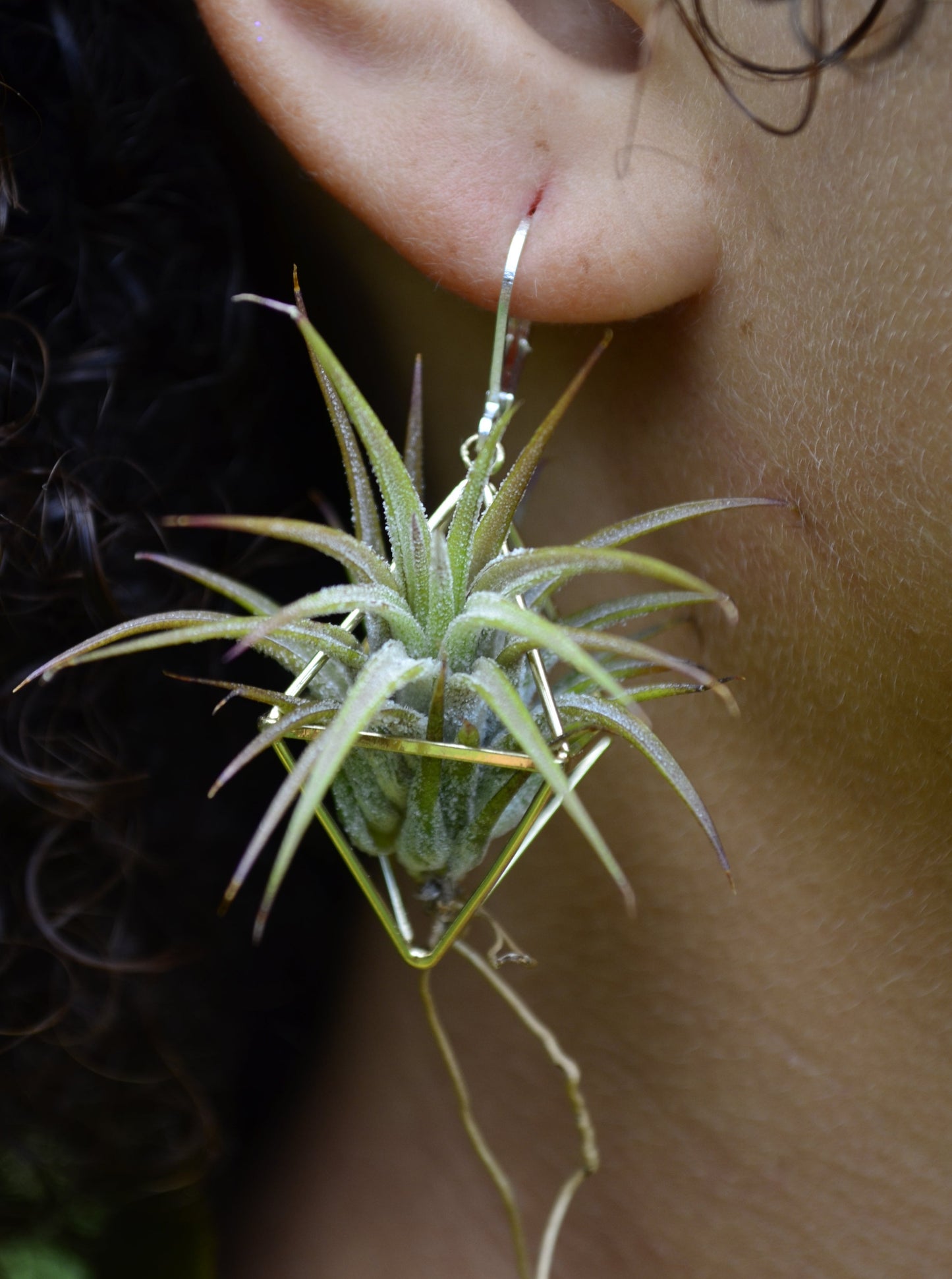 Mini Diamond Octahedron Classic Air Plant Clasp Earrings