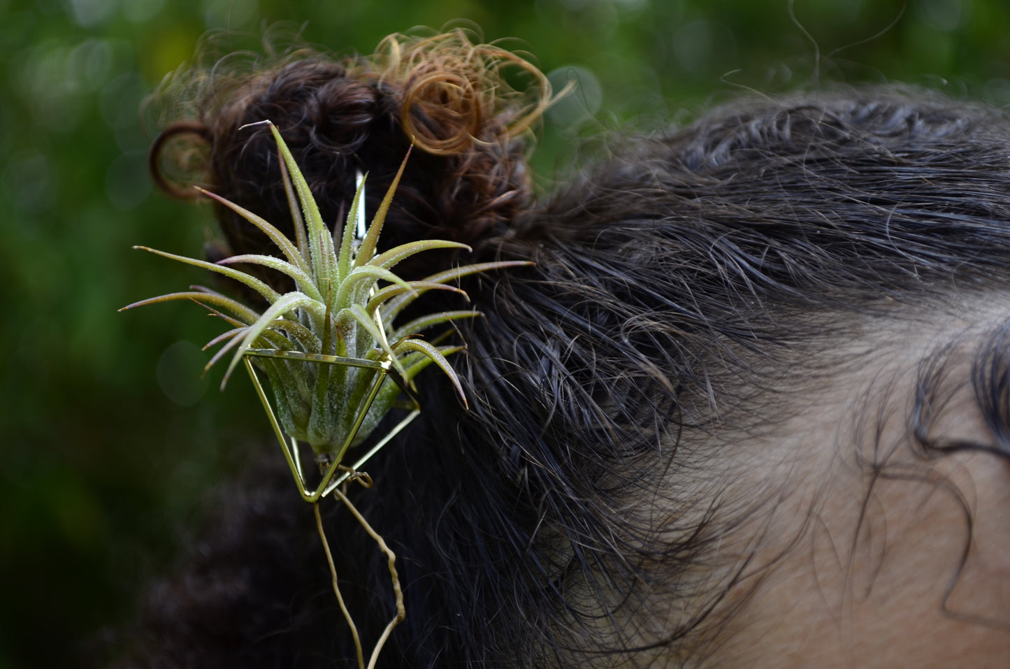 Mini Diamond Octahedron Classic Air Plant Clasp Earrings