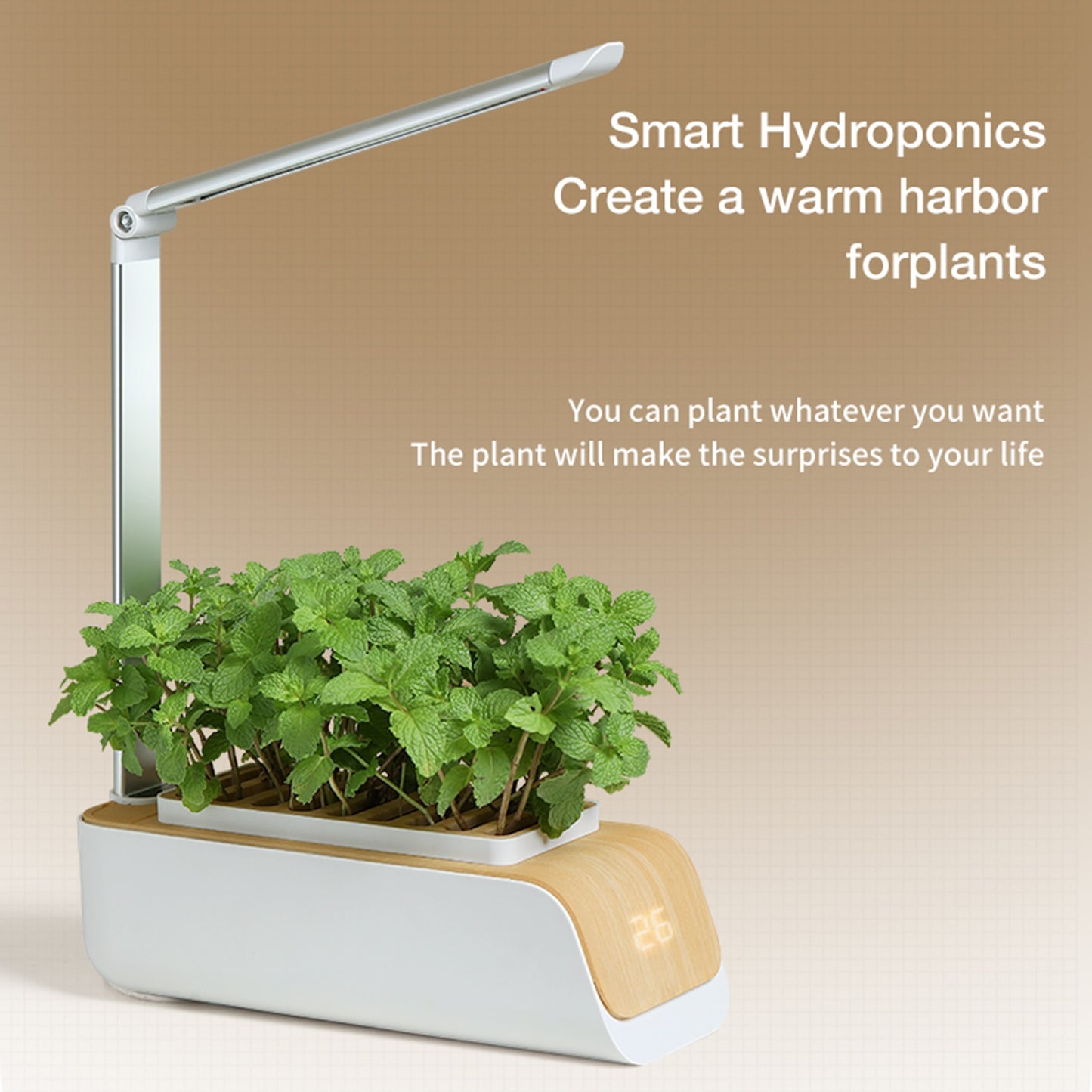 Indoor Herb Hydroponic Garden Starter Kit